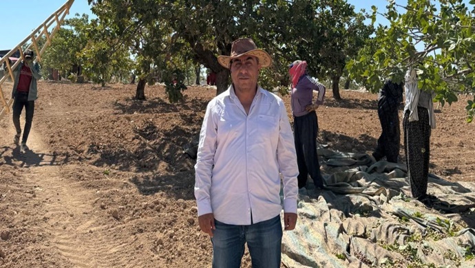 BAĞIMSIZ DENETÇİ MALİ MÜŞAVİR HALİL YAVUZ: FISTIK